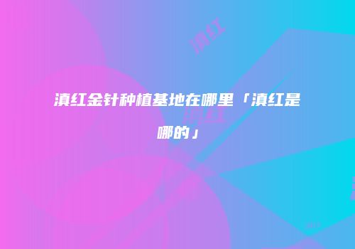滇红金针种植基地在哪里「滇红是哪的」