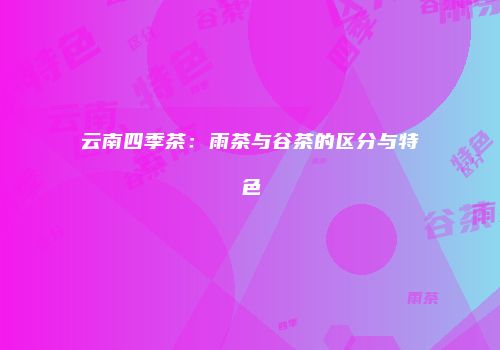 云南四季茶：雨茶与谷茶的区分与特色