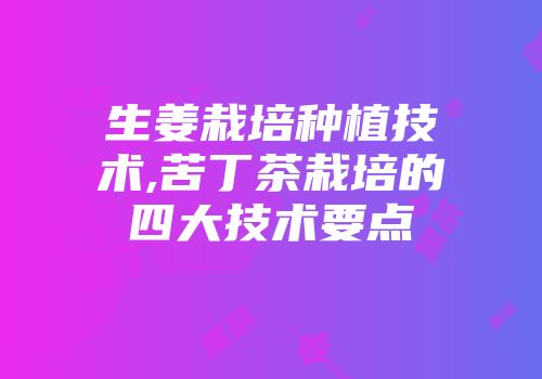 生姜栽培种植技术,苦丁茶栽培的四大技术要点