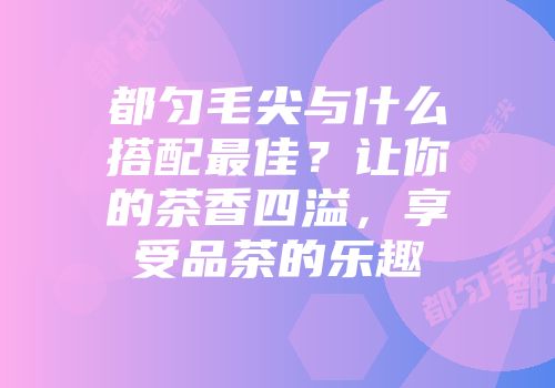 都匀毛尖与什么搭配最佳？让你的茶香四溢，享受品茶的乐趣