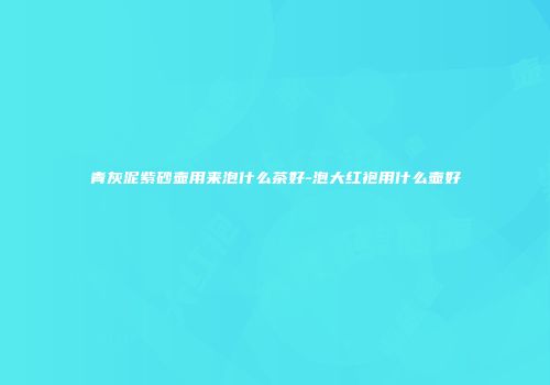 青灰泥紫砂壶用来泡什么茶好-泡大红袍用什么壶好