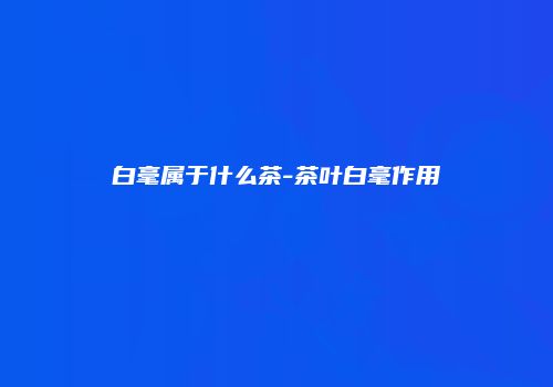 白毫属于什么茶-茶叶白毫作用