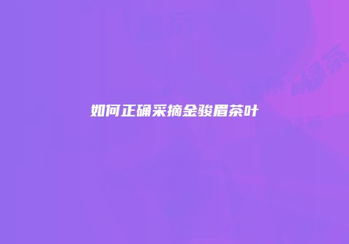 如何正确采摘金骏眉茶叶