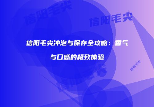 信阳毛尖冲泡与保存全攻略：香气与口感的极致体验