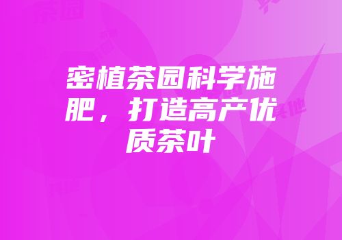密植茶园科学施肥，打造高产优质茶叶