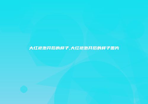 大红袍泡开后的样子,大红袍泡开后的样子图片