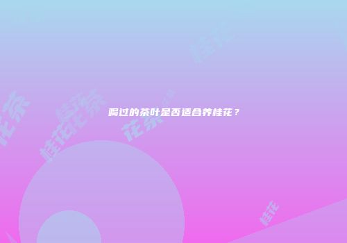 喝过的茶叶是否适合养桂花？