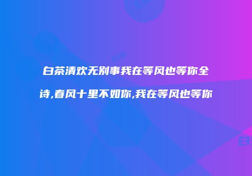 白茶清欢无别事我在等风也等你全诗,春风十里不如你,我在等风也等你