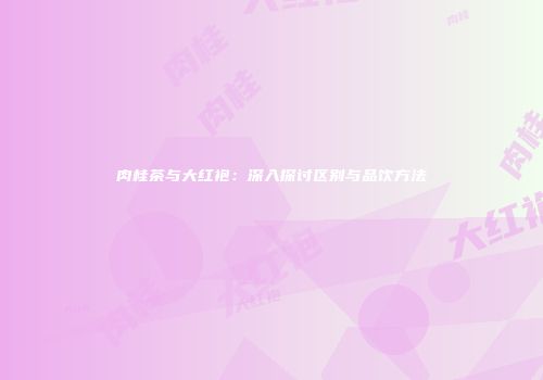 肉桂茶与大红袍：深入探讨区别与品饮方法