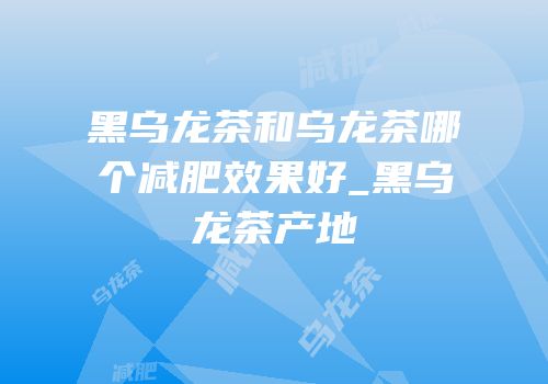 黑乌龙茶和乌龙茶哪个减肥效果好_黑乌龙茶产地