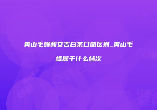 黄山毛峰和安吉白茶口感区别_黄山毛峰属于什么档次