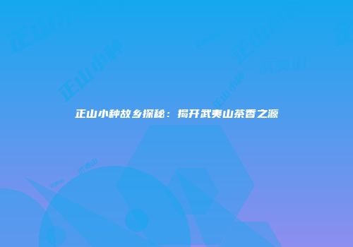 正山小种故乡探秘：揭开武夷山茶香之源