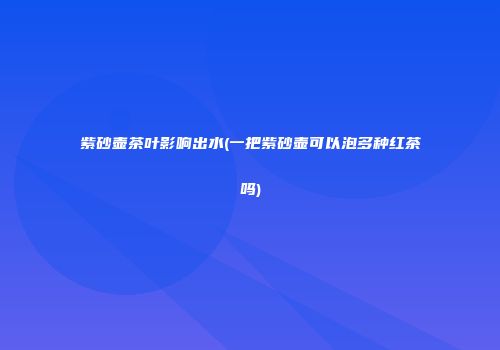 紫砂壶茶叶影响出水(一把紫砂壶可以泡多种红茶吗)