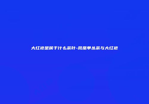 大红袍是属于什么茶叶-凤凰单丛茶与大红袍