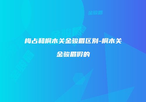 梅占和桐木关金骏眉区别-桐木关金骏眉假的