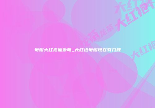 母树大红袍能偷吗_大红袍母树现在有几棵