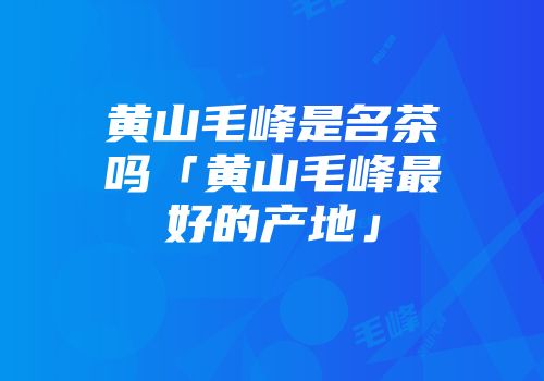 黄山毛峰是名茶吗「黄山毛峰最好的产地」