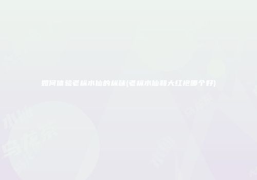 如何体验老枞水仙的枞味(老枞水仙和大红袍哪个好)