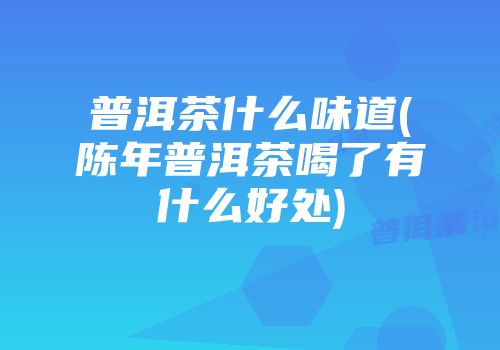 普洱茶什么味道(陈年普洱茶喝了有什么好处)
