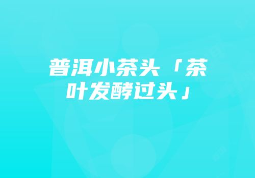普洱小茶头「茶叶发酵过头」