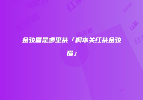 金骏眉是哪里茶「桐木关红茶金骏眉」
