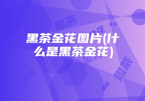 黑茶金花图片(什么是黑茶金花)