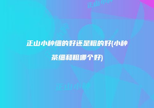 正山小种细的好还是粗的好(小种茶细和粗哪个好)