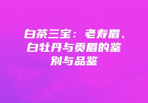 白茶三宝：老寿眉、白牡丹与贡眉的鉴别与品鉴