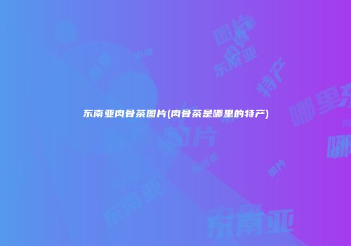 东南亚肉骨茶图片(肉骨茶是哪里的特产)
