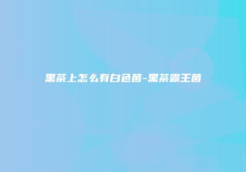 黑茶上怎么有白色菌-黑茶霸王菌