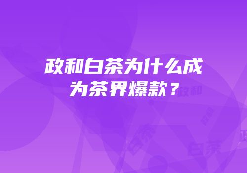 政和白茶为什么成为茶界爆款？