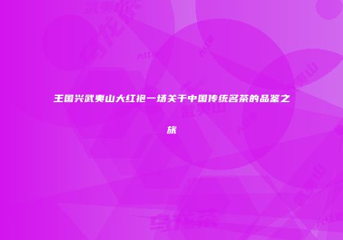 王国兴武夷山大红袍一场关于中国传统名茶的品鉴之旅
