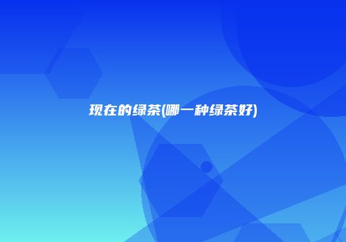 现在的绿茶(哪一种绿茶好)
