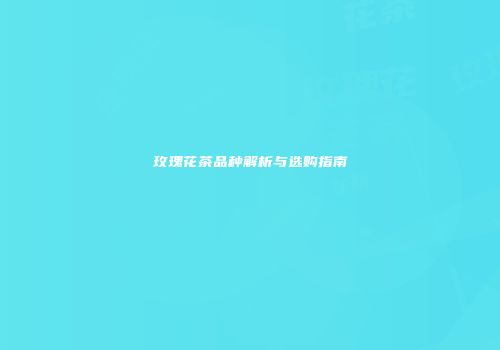 玫瑰花茶品种解析与选购指南