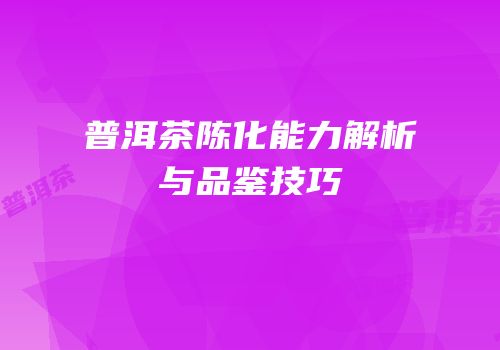 普洱茶陈化能力解析与品鉴技巧