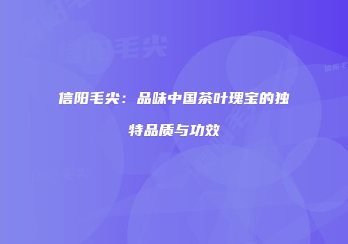 信阳毛尖：品味中国茶叶瑰宝的独特品质与功效
