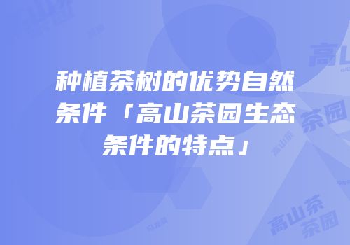 种植茶树的优势自然条件「高山茶园生态条件的特点」