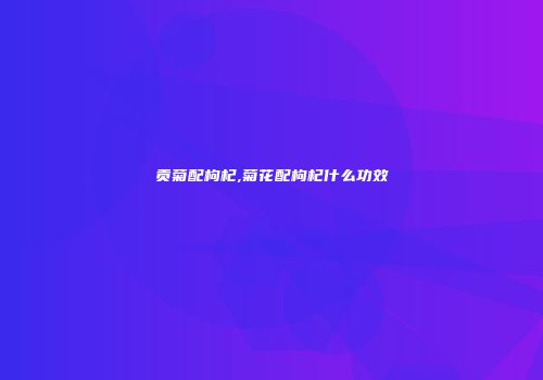 贡菊配枸杞,菊花配枸杞什么功效