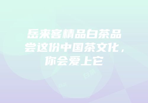 岳来客精品白茶品尝这份中国茶文化，你会爱上它
