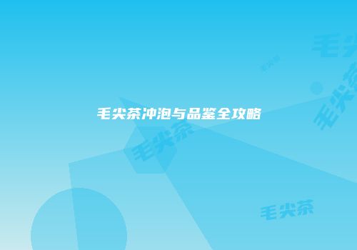 毛尖茶冲泡与品鉴全攻略