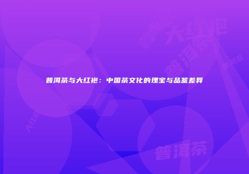 普洱茶与大红袍：中国茶文化的瑰宝与品鉴差异