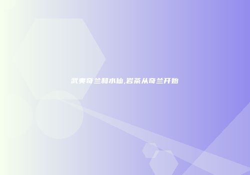 武夷奇兰和水仙,岩茶从奇兰开始