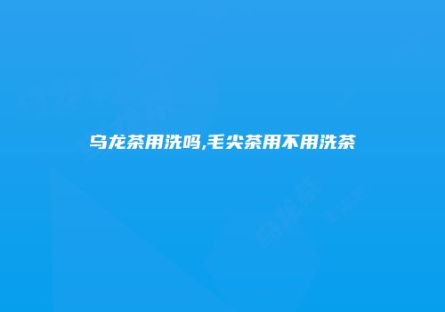 乌龙茶用洗吗,毛尖茶用不用洗茶