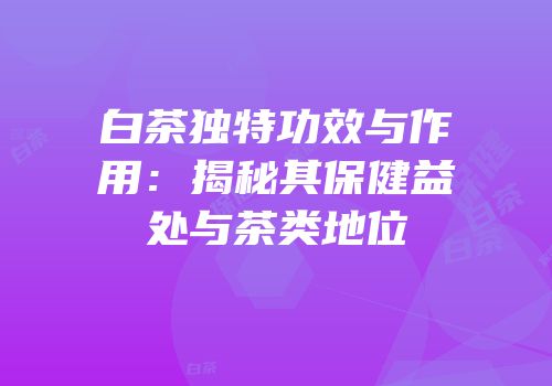 白茶独特功效与作用：揭秘其保健益处与茶类地位