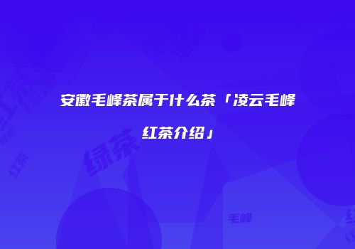 安徽毛峰茶属于什么茶「凌云毛峰红茶介绍」