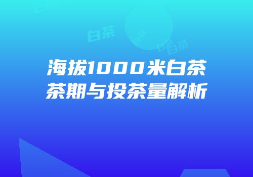 海拔1000米白茶茶期与投茶量解析