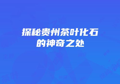 探秘贵州茶叶化石的神奇之处