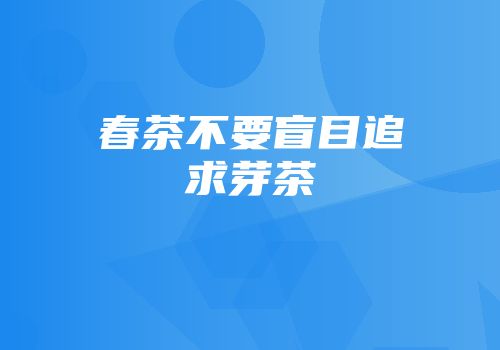 春茶不要盲目追求芽茶