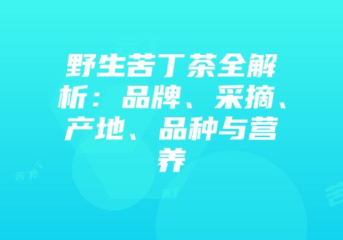 野生苦丁茶全解析：品牌、采摘、产地、品种与营养