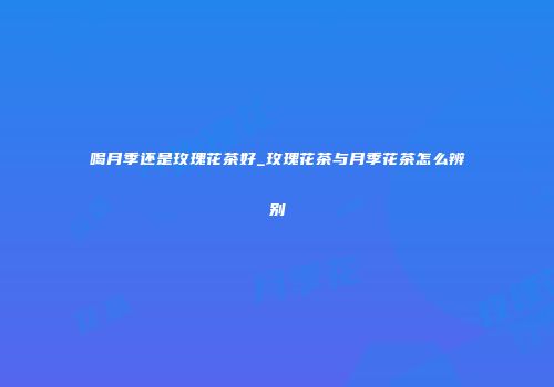 喝月季还是玫瑰花茶好_玫瑰花茶与月季花茶怎么辨别